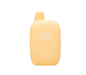 Flum Pebble Vape Disposable 6000 Puffs DISPOSABLE