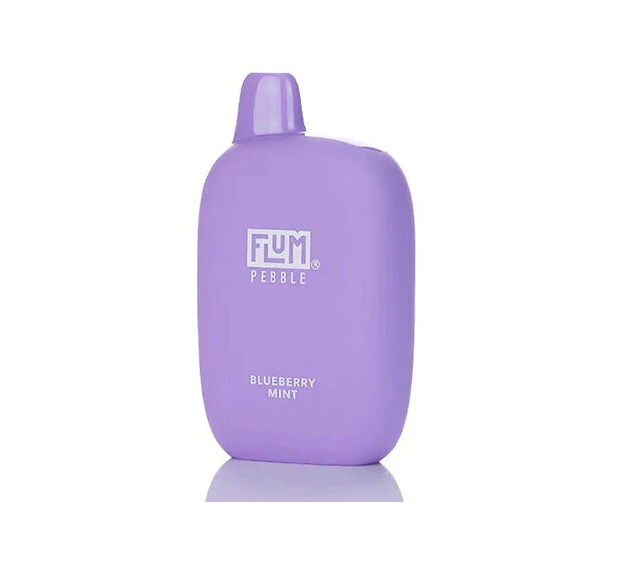 Flum Pebble Vape Disposable 6000 Puffs DISPOSABLE