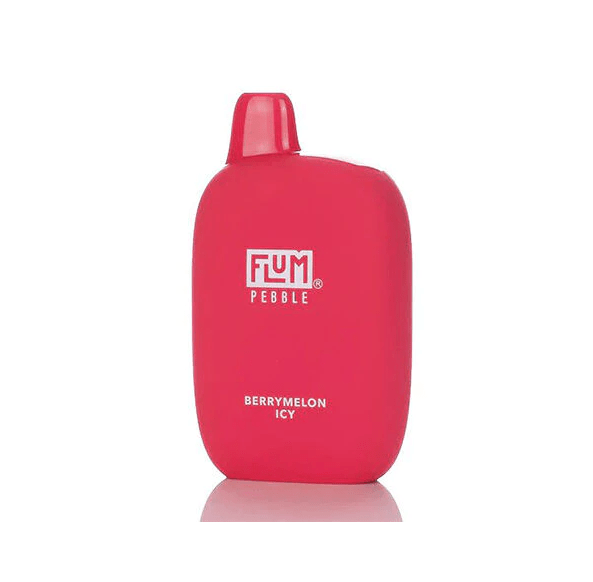 Flum Pebble Vape Disposable 6000 Puffs DISPOSABLE
