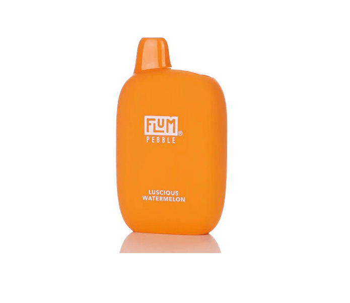 Flum Pebble Vape Disposable 6000 Puffs DISPOSABLE