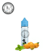 FrznMango by BLVK Unicorn 60ML E-Liquid